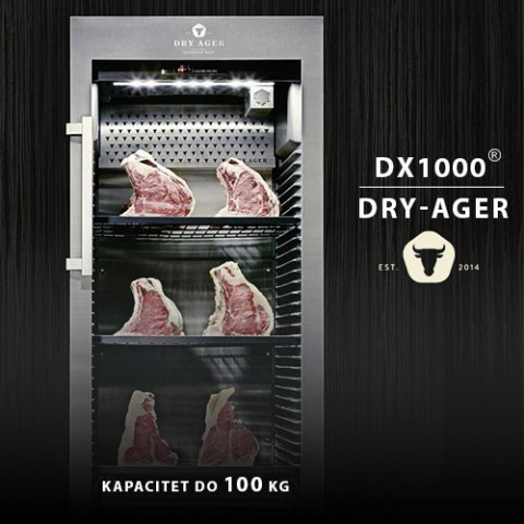 dry-ager-dx1000-single